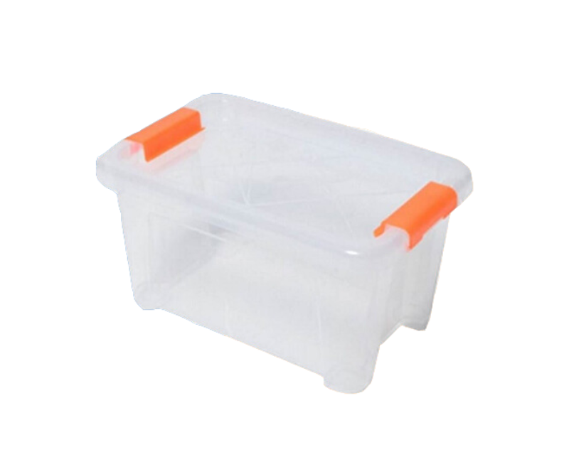 Phoenix Clear Storage Box